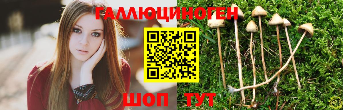 Рязань  Галлюциногенные грибы Magic Shrooms  где купить наркоту  Вход с VPN  Псилоцибиновые грибы Magic Shrooms 
