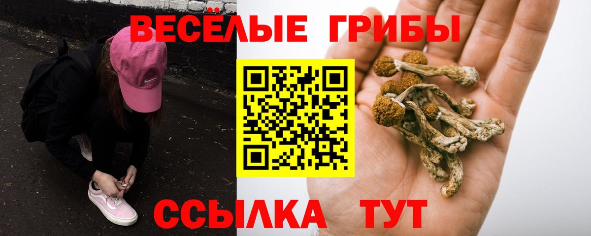Псилоцибиновые грибы Psilocybine cubensis Рязань